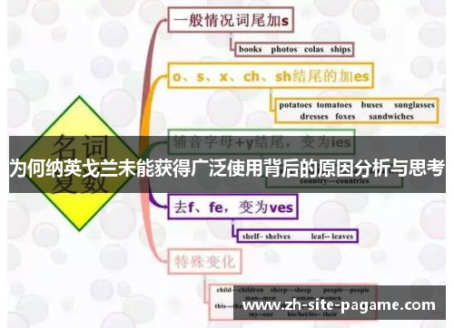 为何纳英戈兰未能获得广泛使用背后的原因分析与思考