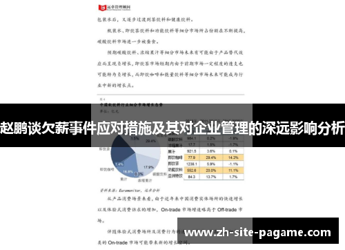 赵鹏谈欠薪事件应对措施及其对企业管理的深远影响分析