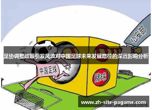 足协调整政策引发风波对中国足球未来发展路径的深远影响分析